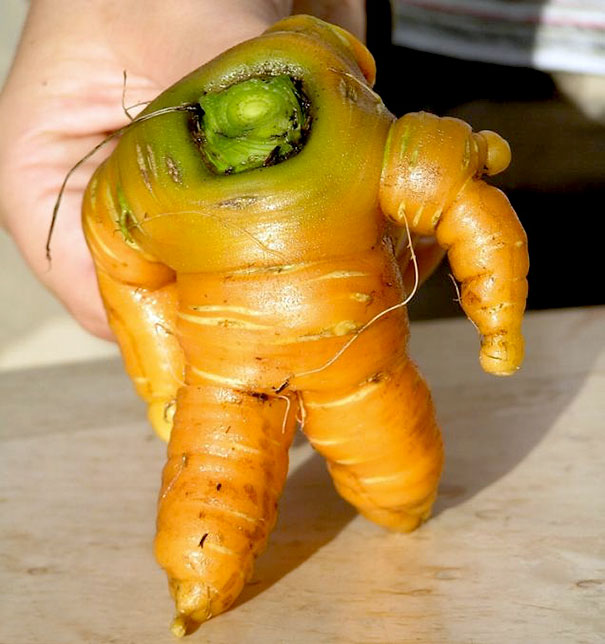Cenoura em formato estranho de astronauta
