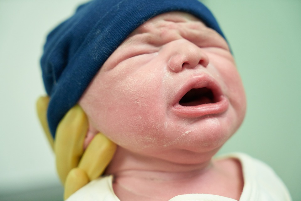 Bebês Ainda na Barriga - O feto tem 300 ossos ao nascer