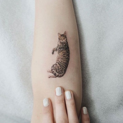 tatuagem de gato tão realista que quase se move