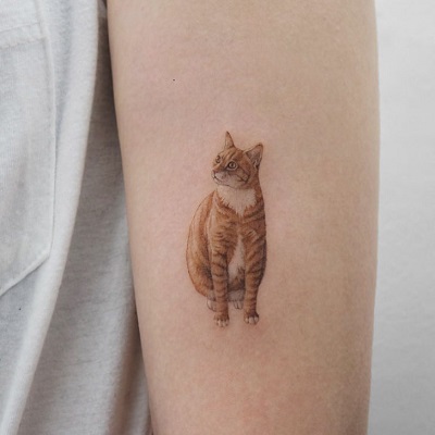 tatuagem de gato realista