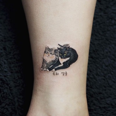 tatuagem realista de dois gatos