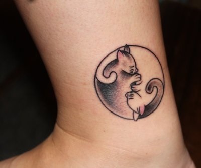 tatuagem de gatos dormindo juntos