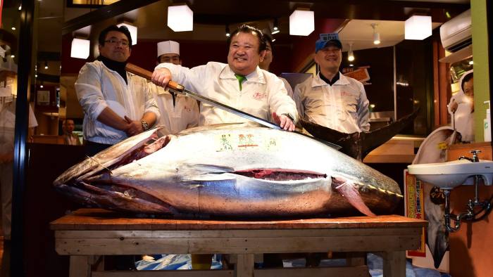 Atum é o peixe mais caro do mundo vendido por 3 milhões de dólares