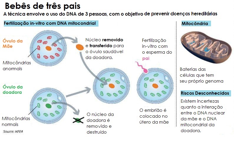 Fertilização com DNA de três pessoas