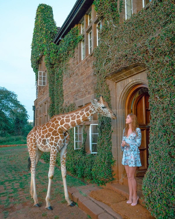 Descubra Quanto Custa se Hospedar no Hotel das Girafas