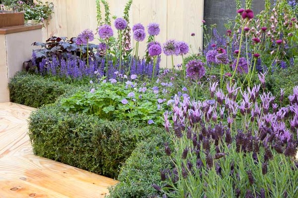 Quais os Tipos De Flores Que Mais Atraem As Abelhas?